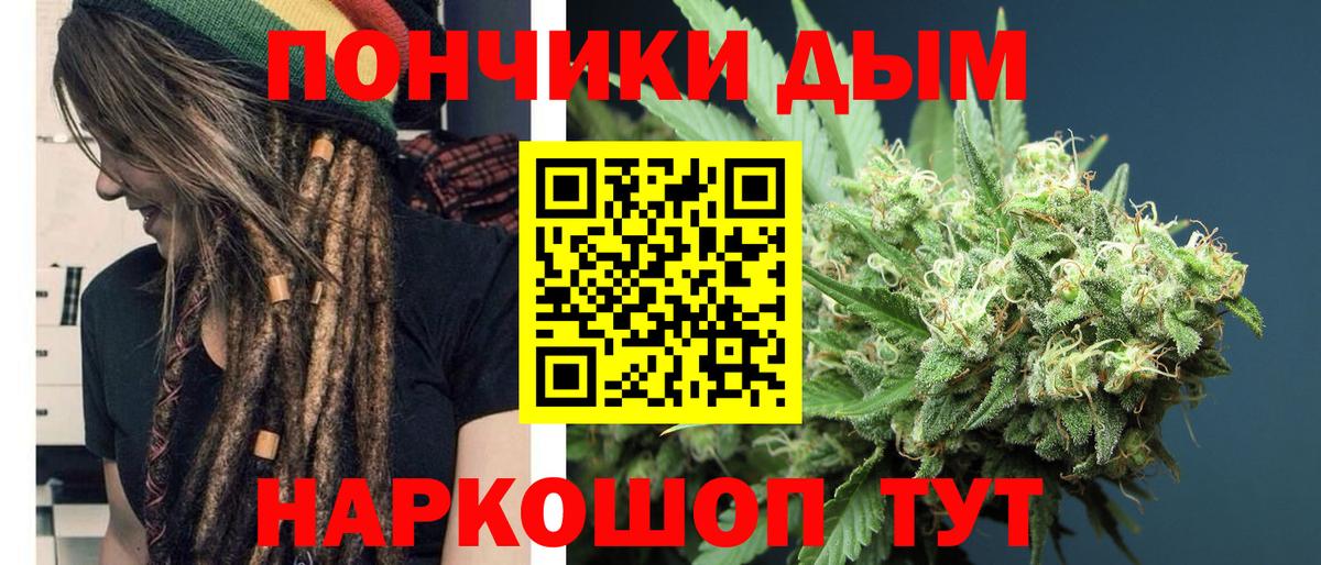 Конопля конопля Минеральные Воды